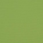Ginkgo