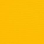 Sunflower Yellow